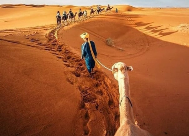 Tahukah Kamu Jika Gurun Sahara Dulunya Sabana? Simak Ulasannya